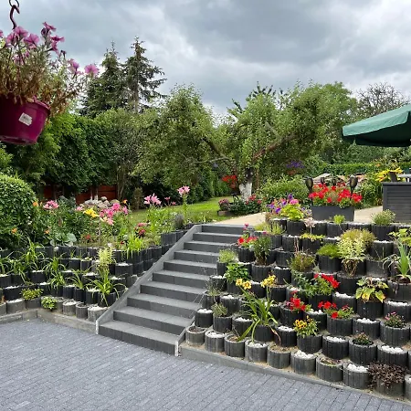 Aida Goscinne - & Free Parking Bed & Breakfast