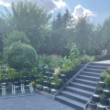 Aida Goscinne - & Free Parking