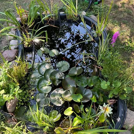 Aida Goscinne - & Free Parking 3*