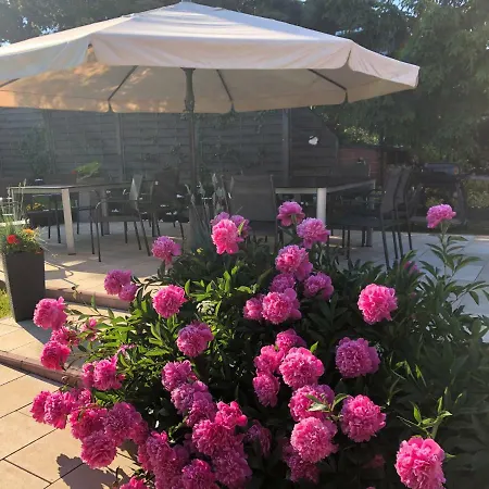 Bed & Breakfast Aida Goscinne - & Free Parking