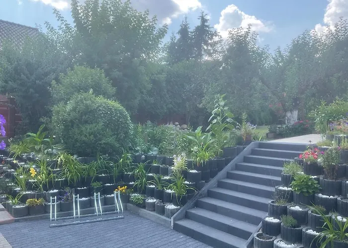 Aida Goscinne - & Free Parking