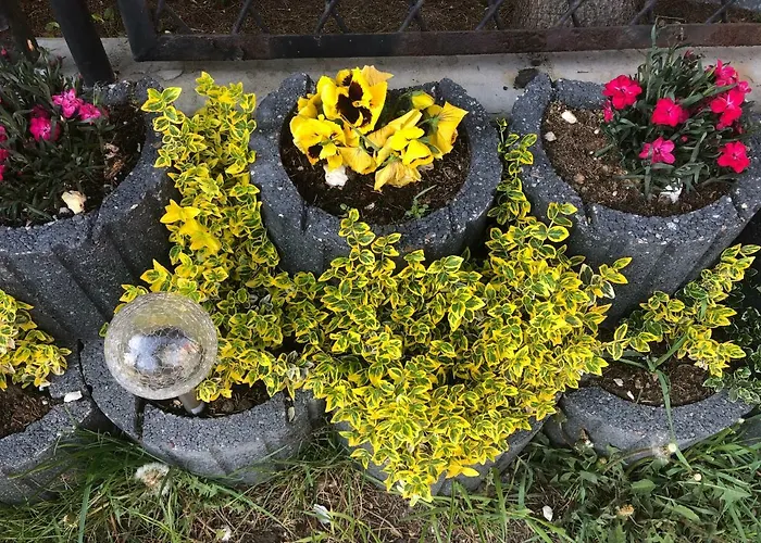 Aida Goscinne - & Free Parking 3*