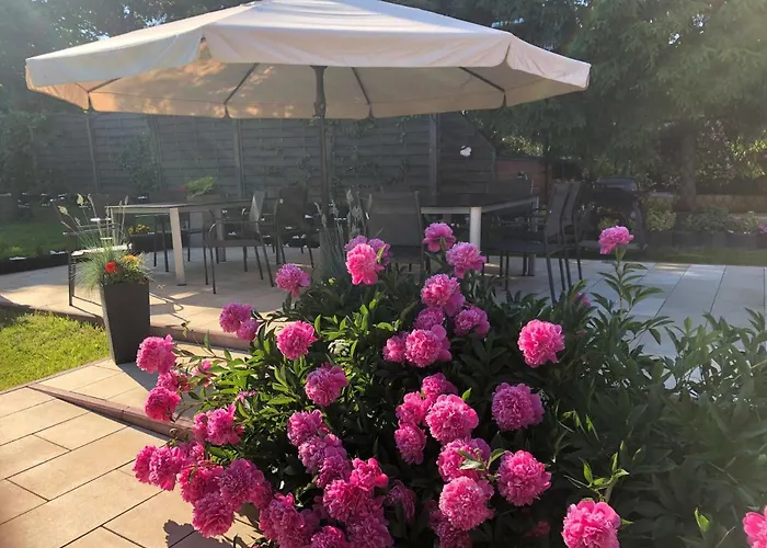 Bed and breakfast Aida Goscinne - & Free Parking